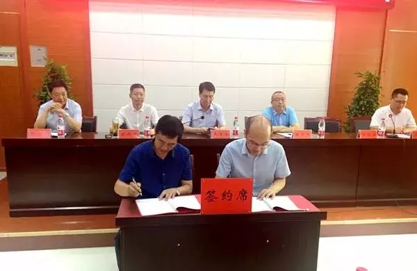 1562210236123354.jpeg 2.webp.jpg