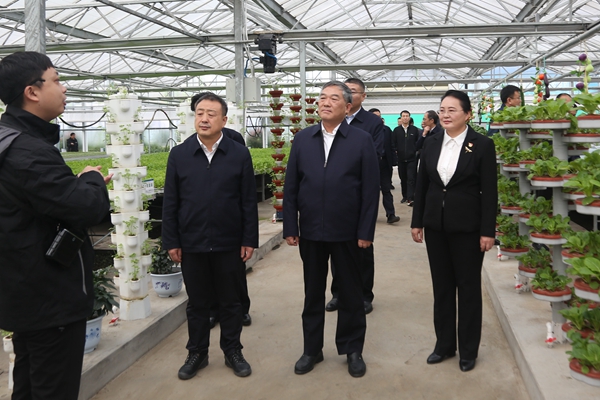 1684315484185482.jpeg 11.jpg